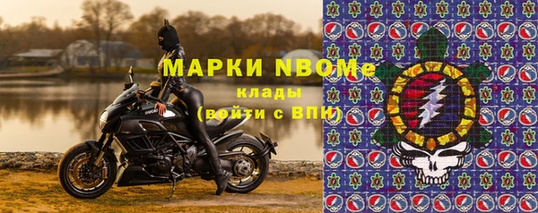 ГАЛЛЮЦИНОГЕННЫЕ ГРИБЫ Михайлов