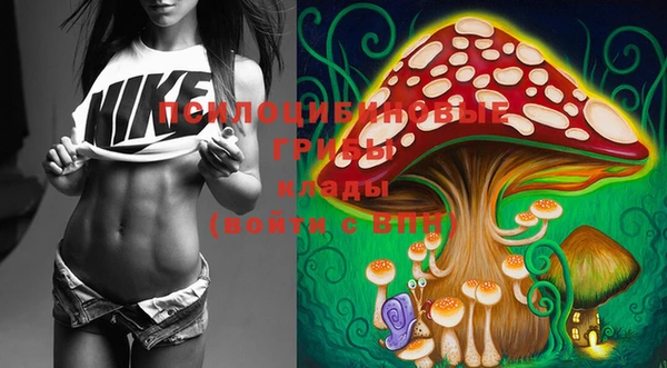 марки lsd Абаза